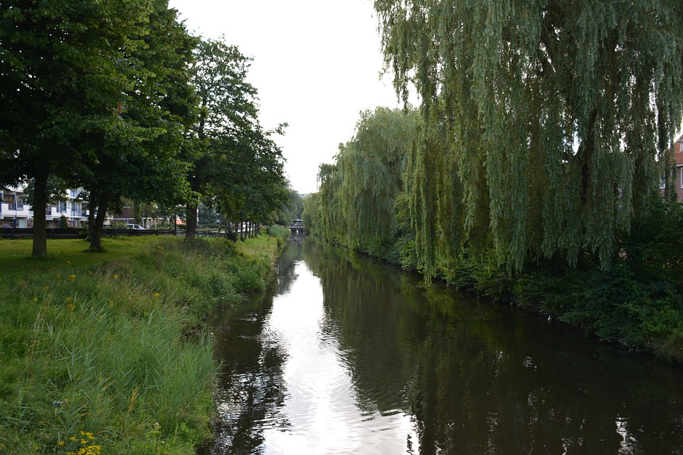 Kookworkshop in de buurt van Veenendaal
