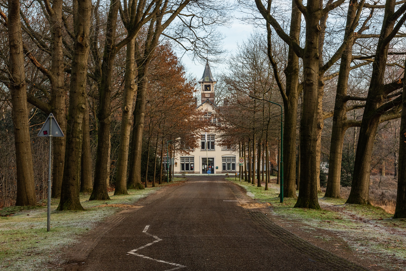 Den dolder